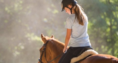 Activity and tour operators who use online booking software Learn more about Activities & Tours