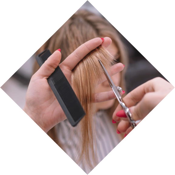 Appointment booking software for Hair Salons